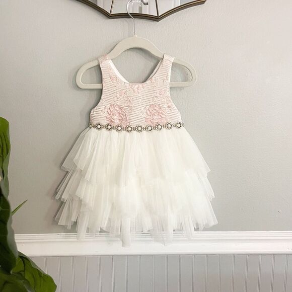 NWT American Princess White Pink Floral Tulle Baby Toddler Dress Size 24 Months - Picture 1 of 9